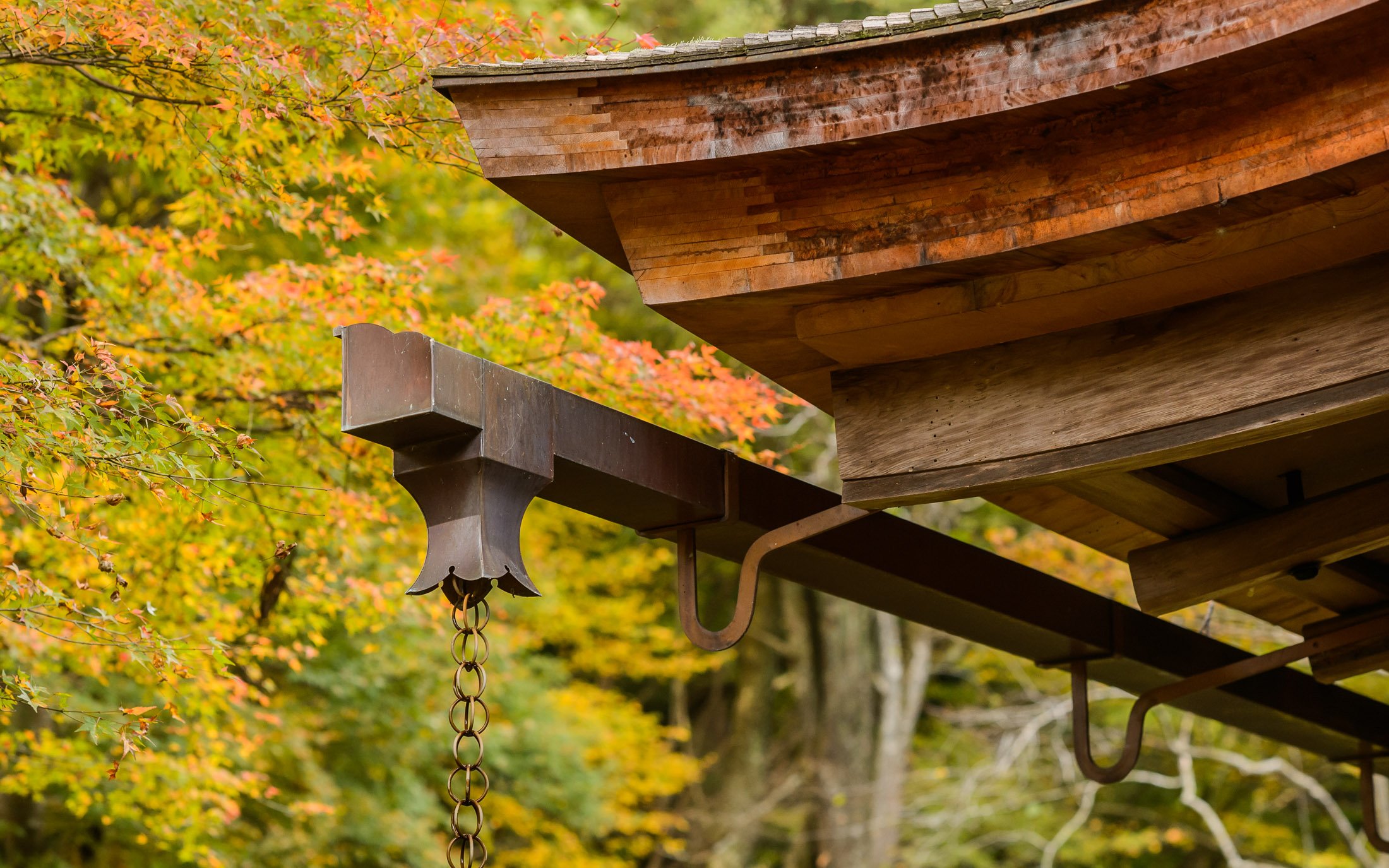 🏯 고산사 (코잔지) 이미지 8